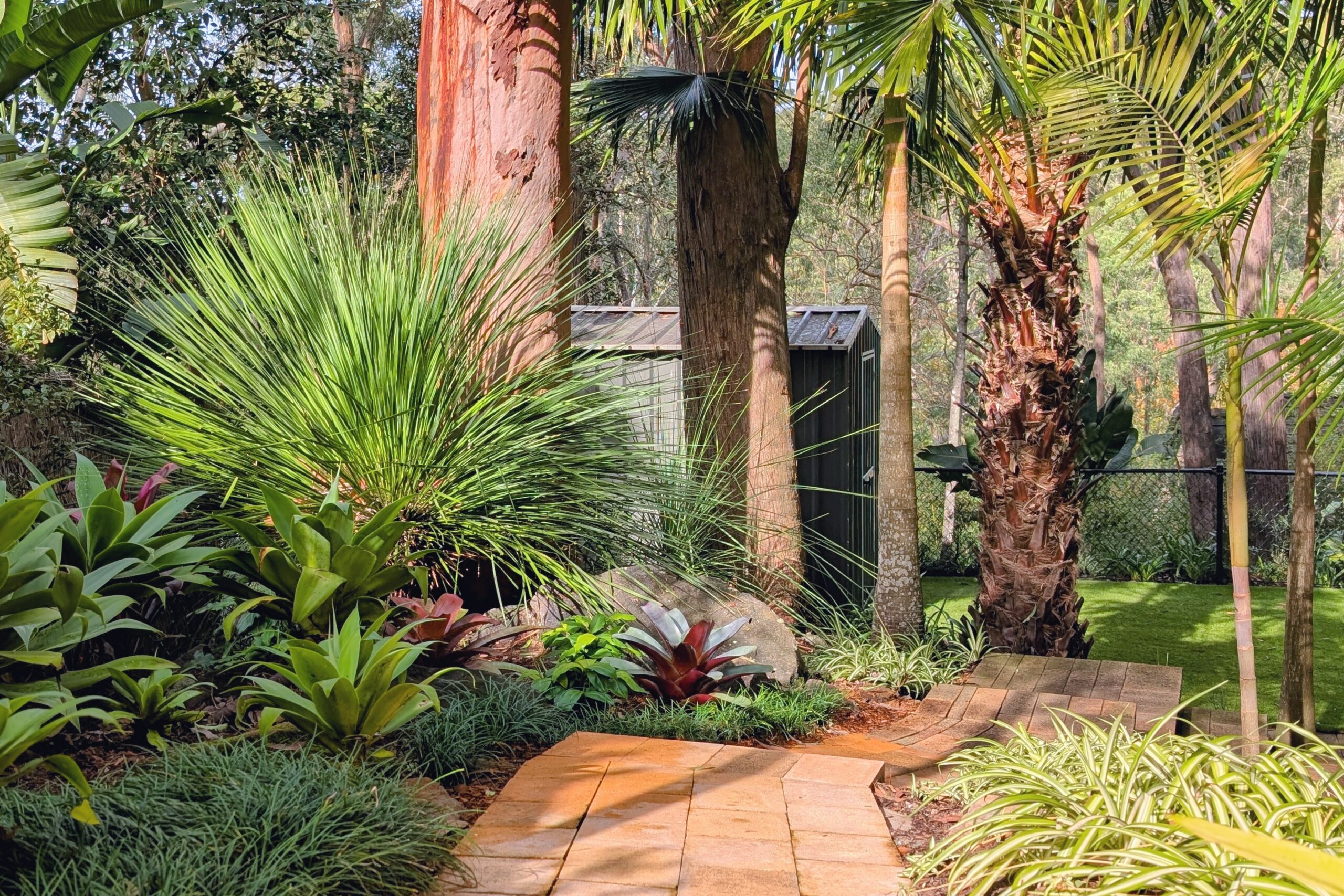 A brick path winding through palms, grass trees and bromeliads beneath tall eucalypts