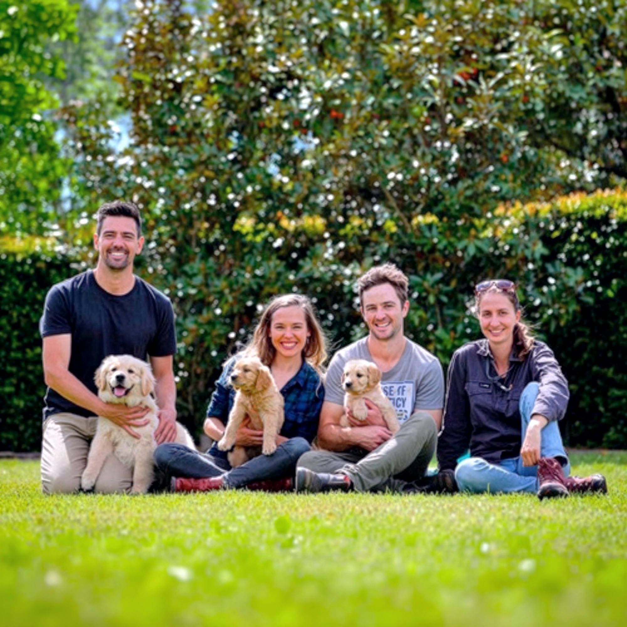 The Tate Animals team sitting on a lawn with three golden retriever puppies