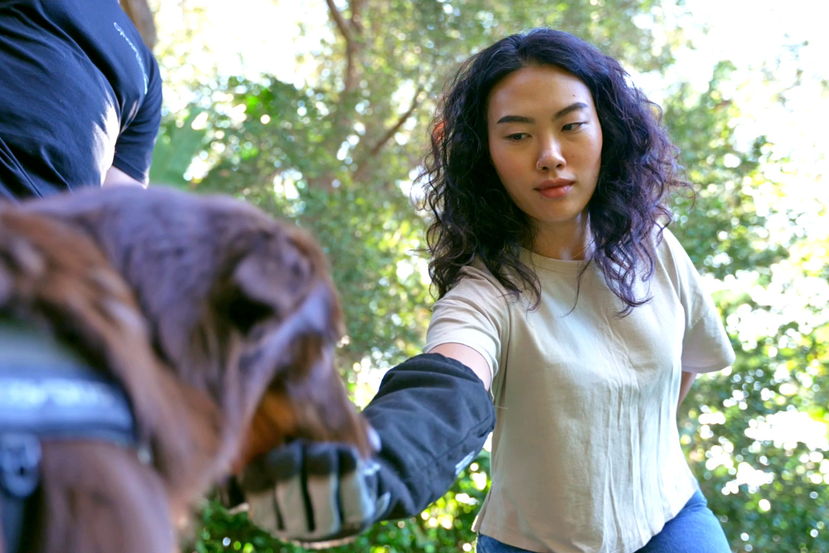 An adult client calmly offering a gloved hand to a dog